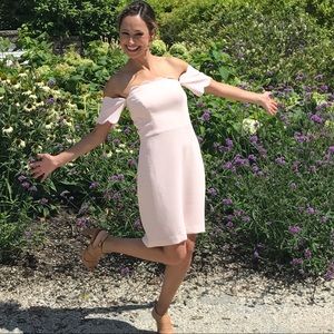 Club Monaco Dress (Petite)